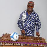 Portada para "Allez l'Afrique"