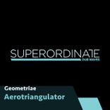 Portada para "Aerotriangulator"