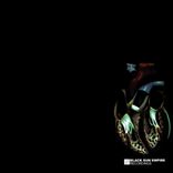 Portada para "Stone Faces / Ai"