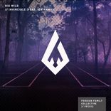 Artwork for "Invincible"