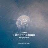 Artwork for "Like the Moon"