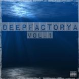 Artwork for "DeepFactorya Vol.1"