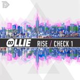 Artwork for "Rise / Check 1"