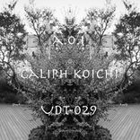 Artwork für "A.o.i"