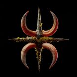 Artwork for "Dive Into Your Soul"