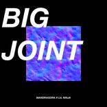 Artwork for "Big Joint"