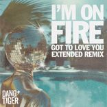 Artwork voor "I'm on Fire - Got To Love You Extended Remix"