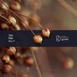 Artwork for "Mass EP"