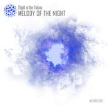 Artwork voor "Melody Of The Night"