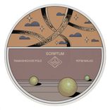 Artwork for "Ramashkovoe Pole"