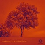 Artwork for "Cold Day - Remixes, Pt. 1"