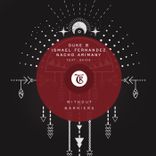 Artwork for "Without Barriers"