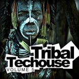 Artwork for "Tribal Techouse, Vol. 5"