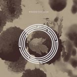 Artwork for "New Dream"