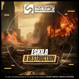 Artwork for "B Destruction"