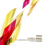 Artwork for "Visible Soul"