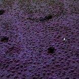 Artwork for "Ghosts"