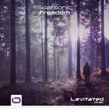 Artwork for "Freedom"