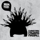 Portada para "Fireball"