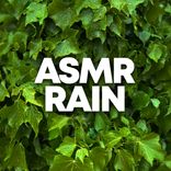 Artwork for "ASMR Rain"