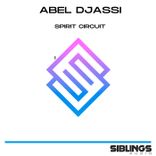 Artwork for "Spirit Circuit"