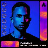 Portada para "Now You’re Gone"