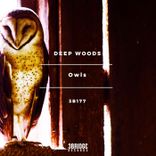 Artwork for "Owls"