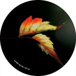 Artwork for "Calantas"