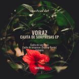 Artwork for "Cajita De Sorpresas"