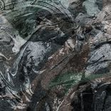 Portada para "Schismogenesis"