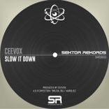 Artwork for "Slow It Down"
