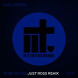 Artwork for "What You Do (Just Ross Remix)"