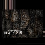 Artwork for "Black 216"