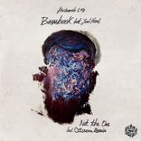 Artwork für "Not the One"