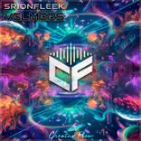 Artwork for "Velmers"