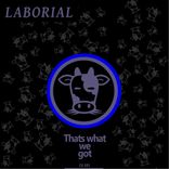 Artwork for "Thats What We Got"