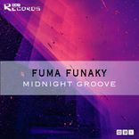 Artwork for "Midnight Groove"
