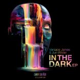 Artwork for "In the Dark"