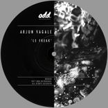 Artwork voor "Le Freak"