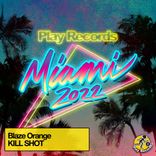 Portada para "Kill Shot"
