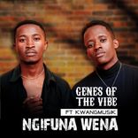 Portada para "Ngifuna Wena"