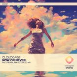 Now or Never (Extended Mix)