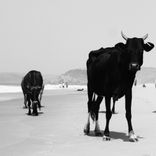 Artwork for "Guran EP"