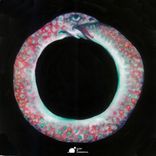 Artwork for "Flying Shoes"