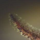 Artwork für "Ecfrasi 001"