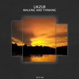 Walking and Thinking