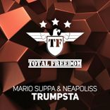 Artwork voor "Trumpsta"