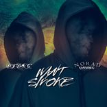 Portada para "Want Smoke"