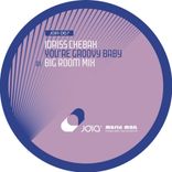 Artwork for "You're Groovy Baby"