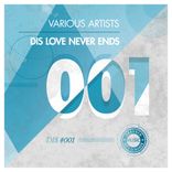 Artwork für "DIS Love Never Ends"